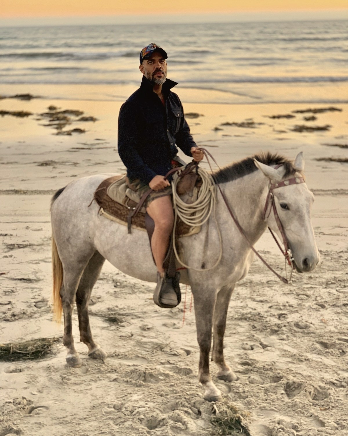 A rider on a gray horse on the beach