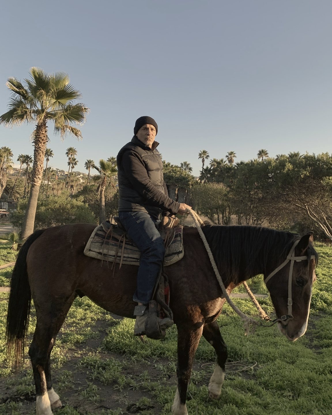 Un jinete con gorro negro y chaleco, montado en un caballo bayo en un campo verde rodeado de palmeras.